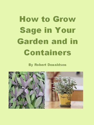 cover image of How to Grow Sage in Your Garden and in Containers